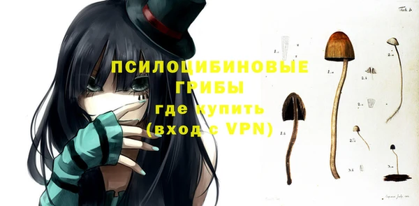 МДПВ Киренск